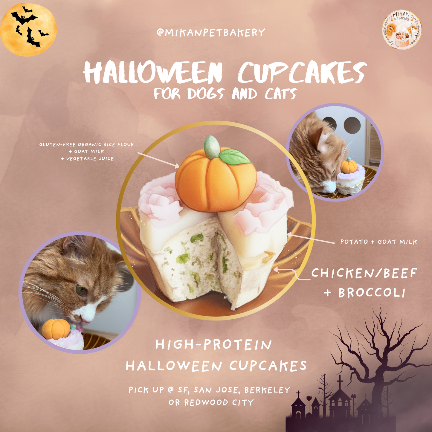 Pet Cupcakes