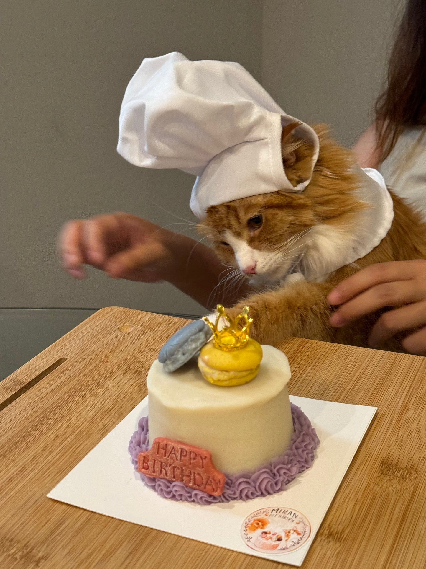 2" Custom Cake
