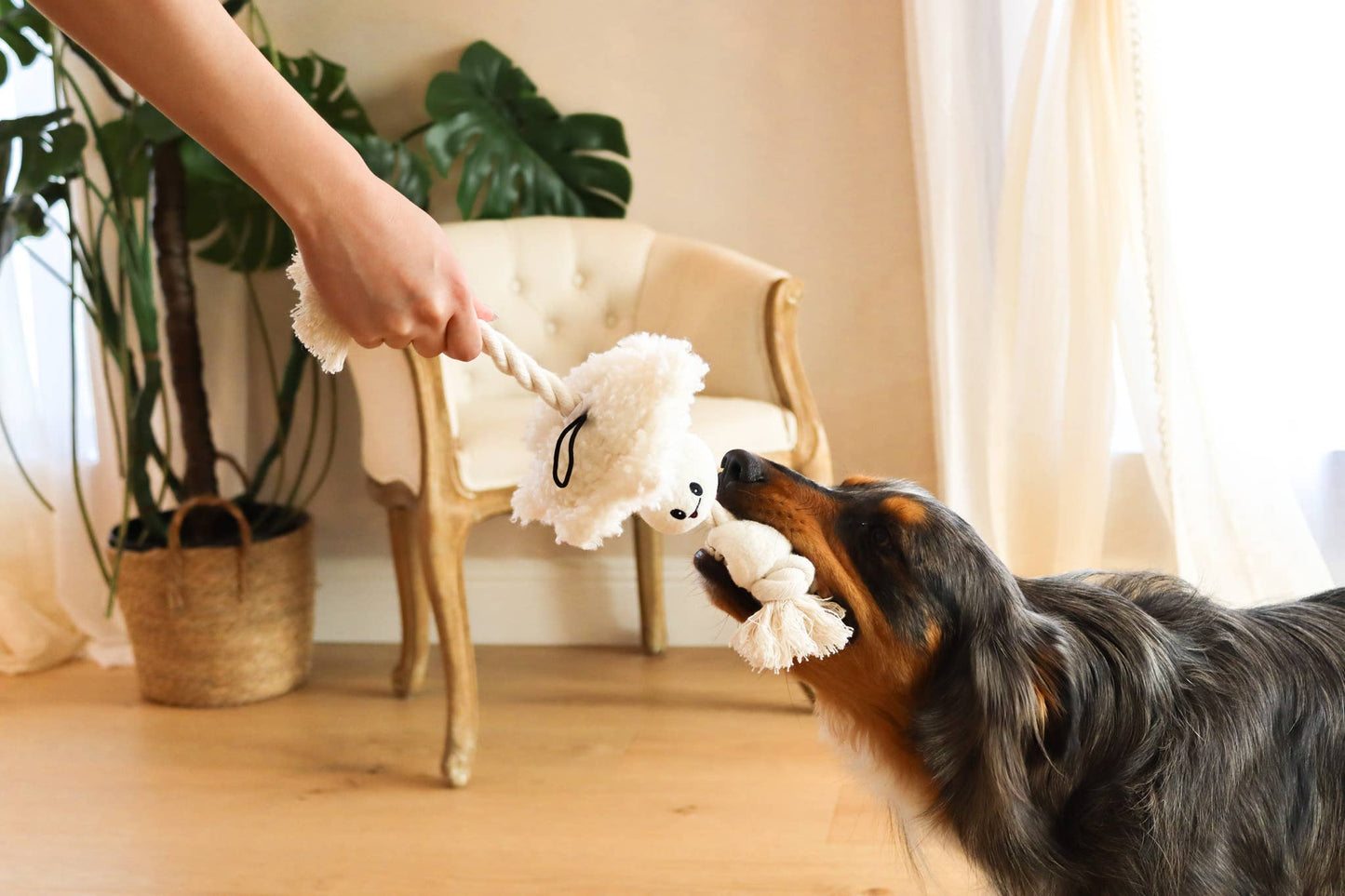 Boba time snuffle toy