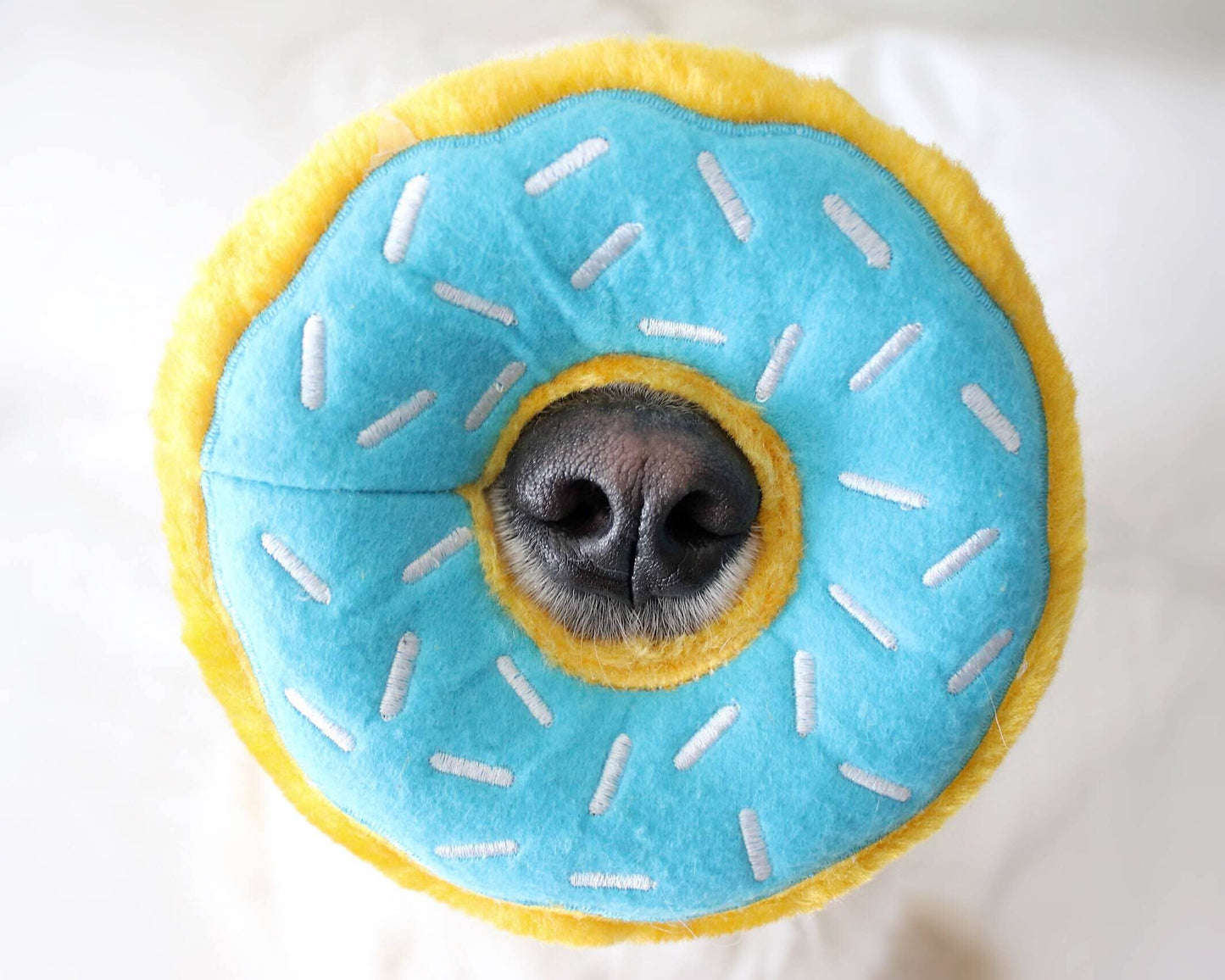 Junior Donutz - Blueberry