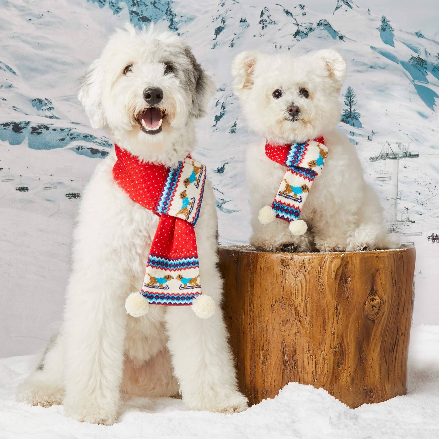 Gray Malin x TFD Hit the Slopes Knit Holiday Dog Scarf