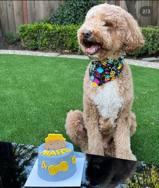 4" Custom Cake