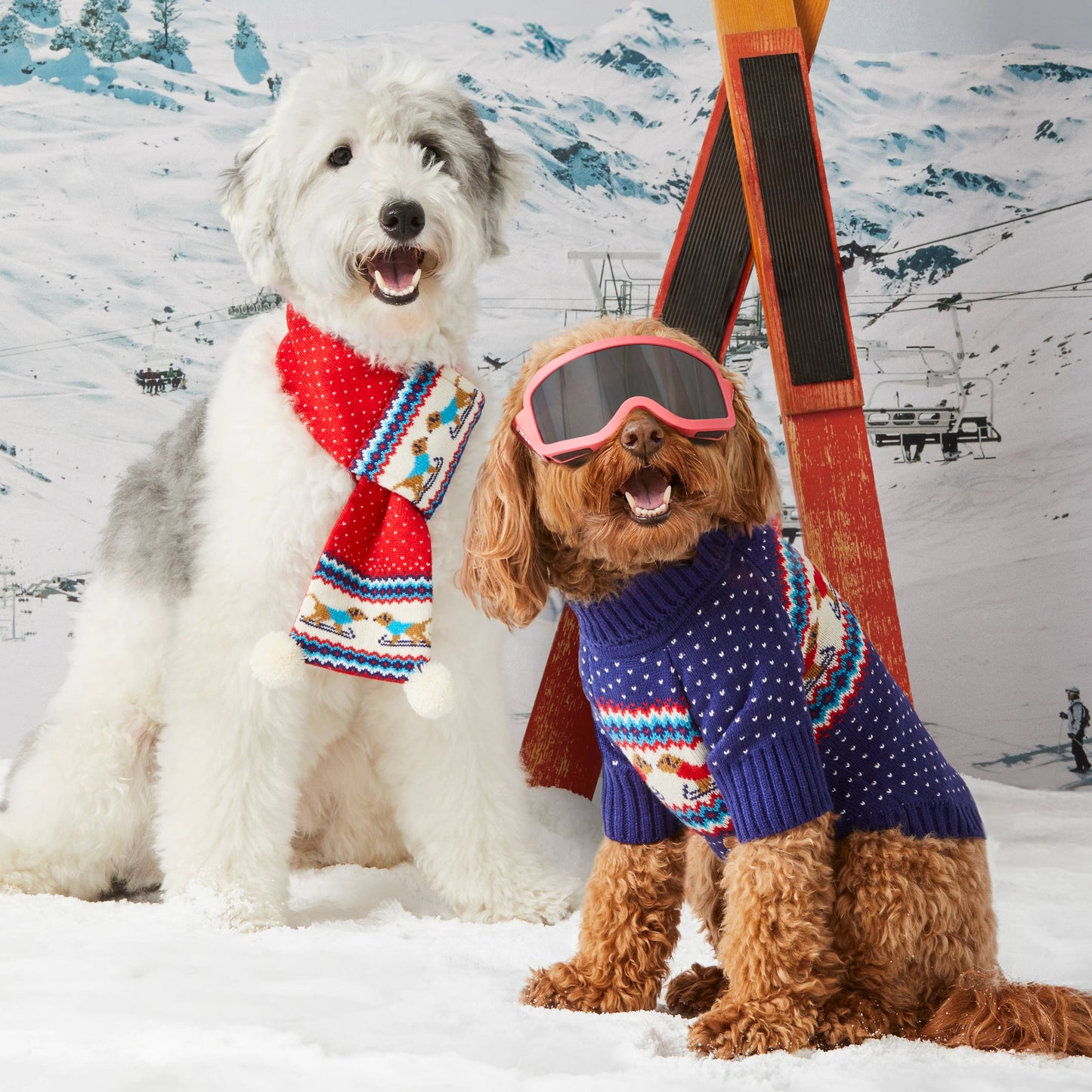 Gray Malin x TFD Hit the Slopes Knit Holiday Dog Scarf