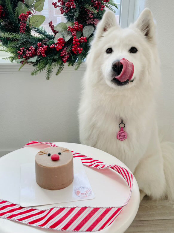 2" Christmas Cake - For Cats and Dogs