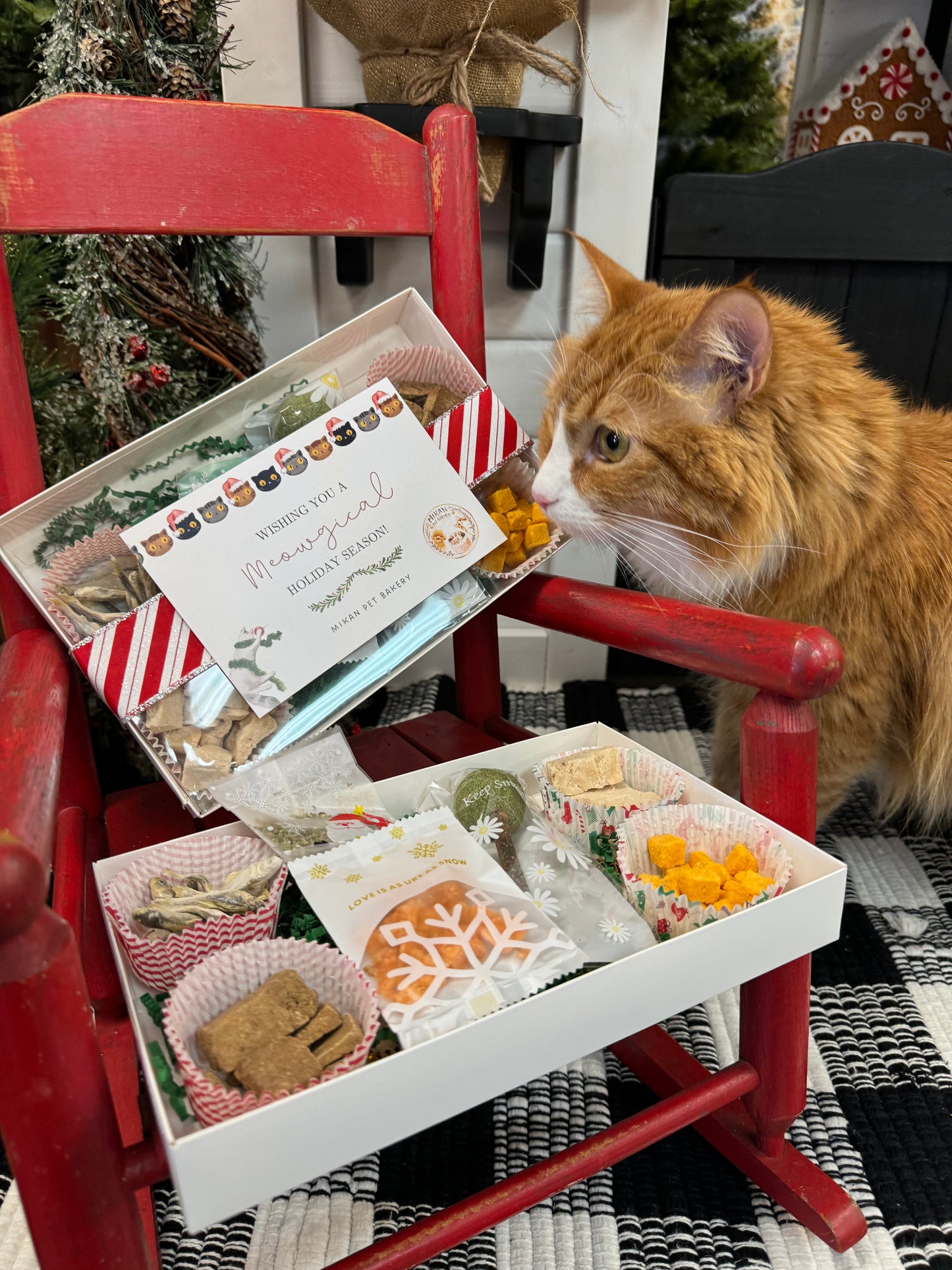 Meowy Christmas Delights Holiday Box for Cats