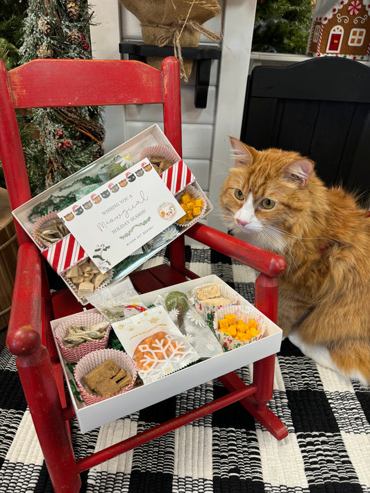 Meowy Christmas Delights Holiday Box for Cats